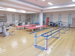 理学療法 理学療法