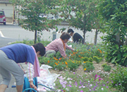 ボランティア募集